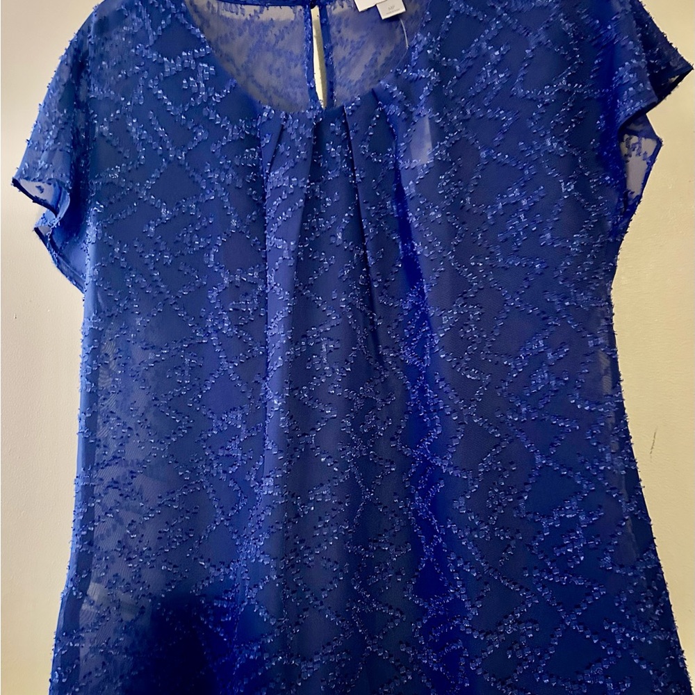 LOFT Blue Sheer Blouse with Flutter Sleeves